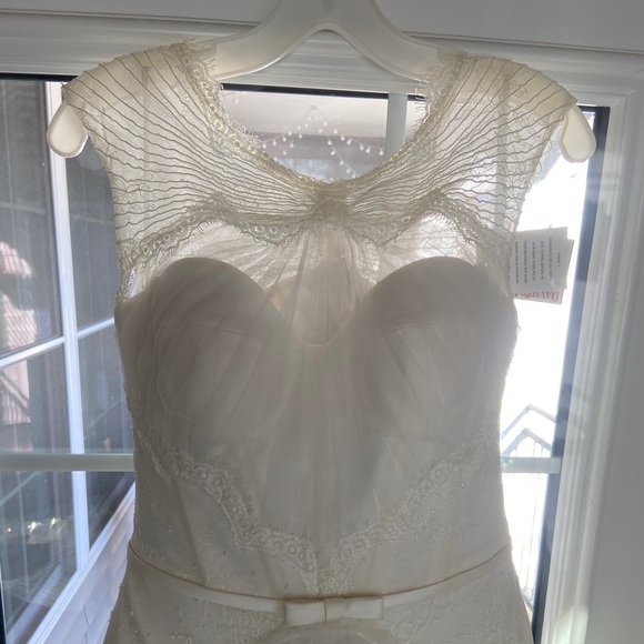 Zac Posen-Truly-Ivory Lace and Tulle Ballgown NWT - Picture 5 of 12